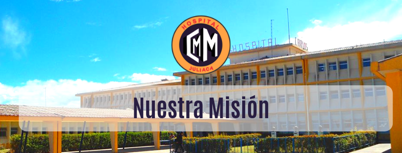 Mision de la institución